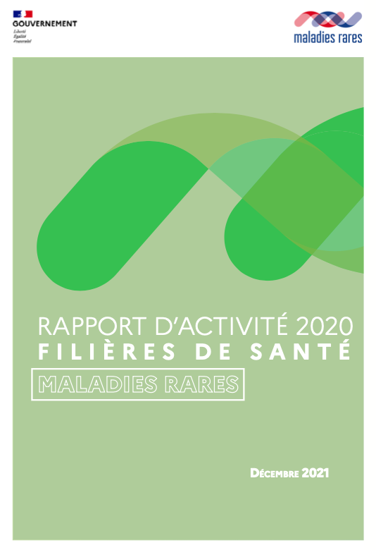 Rapport_activite_FSMR_2020