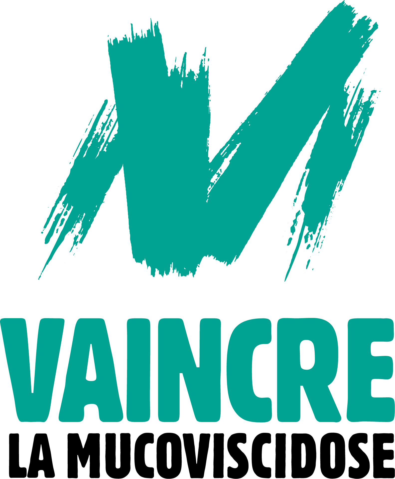 VLM LOGO RVB