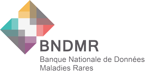 Logo BNDMR